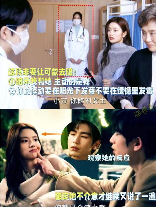 纯情电视剧在线观看,重温经典电视剧，共赴青春回忆之旅  第3张